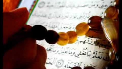 سورة الشمس | تلاوة المقرئ محمد حسين عامر Holy Quran
