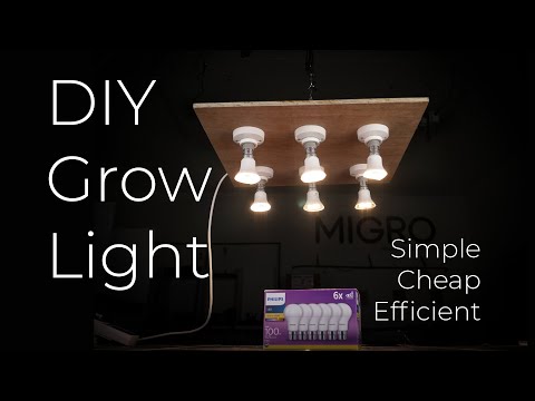 Video: DIY LED fitolampe vir plante