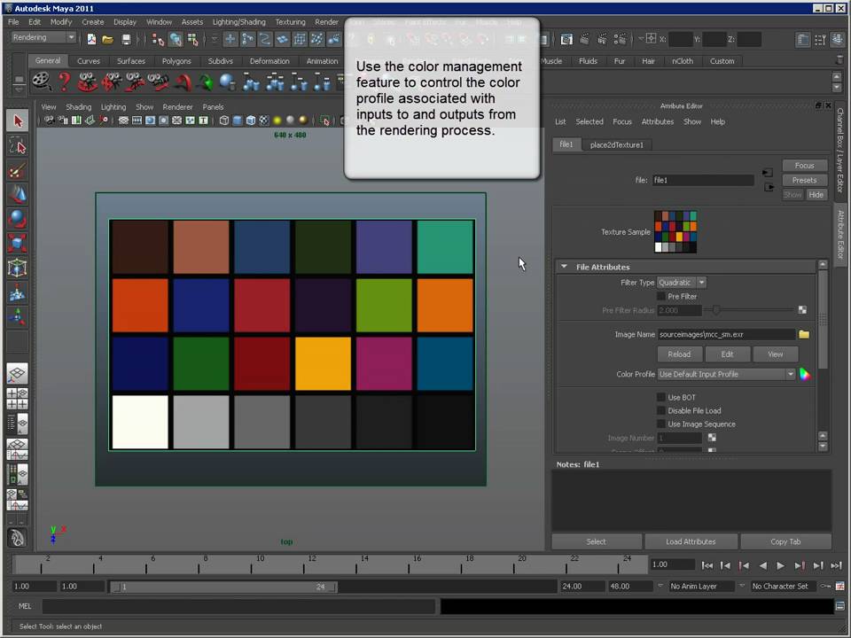 Maya color. Color management maya. maya цвет. color management в майя. control цвет.