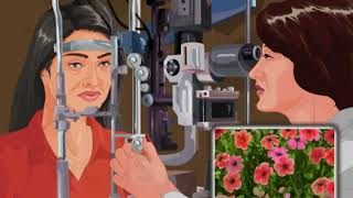 Slit lamp examination - Animated Concise Dictionary of Ophthalmology