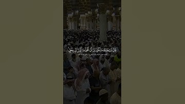 تلاوة أيوبية بديعة فاقت الجمال - للشيخ أحمد بنطالب