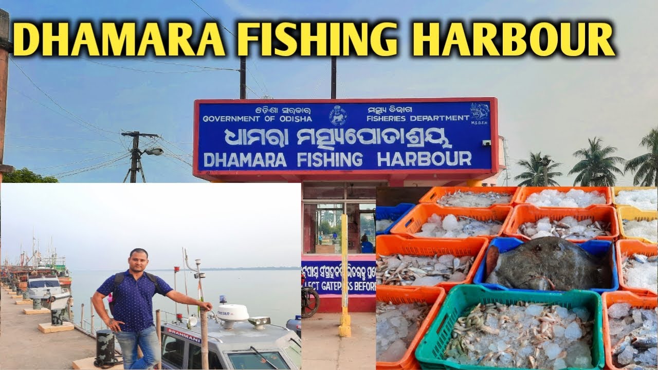 Dhamara Fishing Harbour  Dhamara Port  Dhamara  Bhadrakh