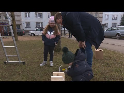 Video: Vai riekstkoki izmantos putnu māju?