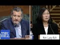 'You've been an activist your entire adult life': Cruz grills judicial nominee over her record