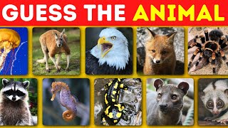 Guess The Animal #4 by Random Quizzes  146 views 1 month ago 8 minutes, 5 seconds