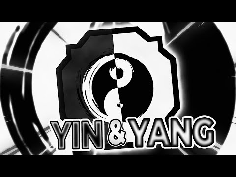 Video: Rozdíl Mezi Yin A Yang
