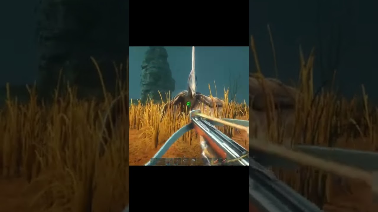 Almost had a Tapejara! 😭 