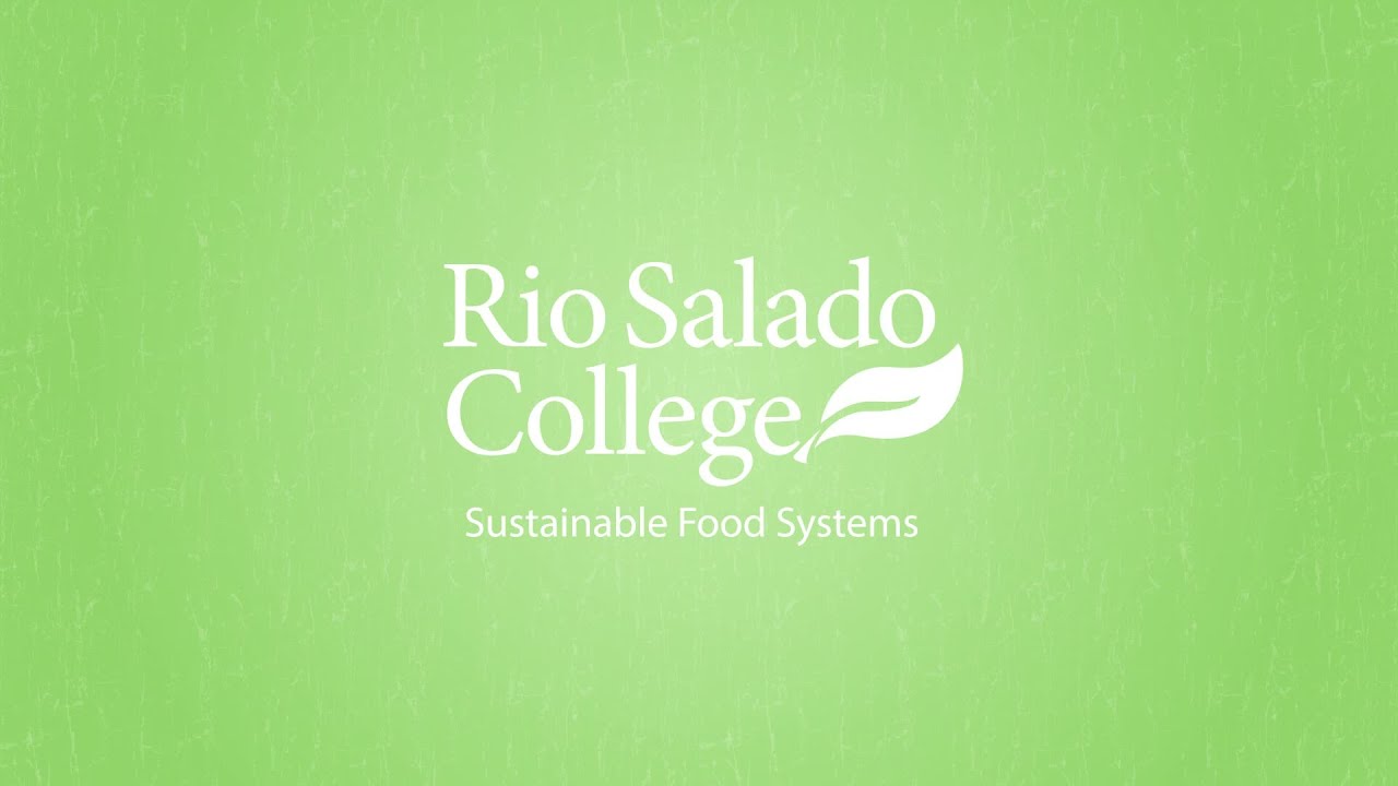 Sustainability Degree Education For Sustainable Development