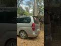 ទិដ្ឋភាពប្រាសាទជុំវិញ តំបន់រមណីយដ្ឋានប្រាសាទកោះកេរ