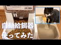 1,280円！  自動給餌器（アイリスオーヤマ）を猫に使ってみた。電源不要で、しかも自動給水器も付いているけど...