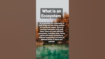 What is an Ecosystem