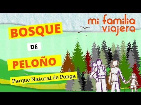 Bosque de Peloño en Ponga