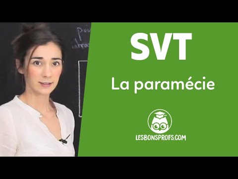 Vidéo: Quelle est la fonction des trichocystes dans une paramécie ?