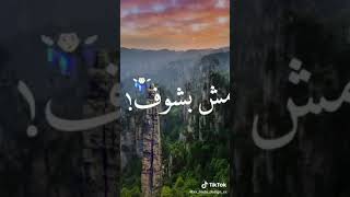 حاله واتس على مهرجان يلا عينك بحر مانجا