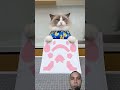 mpus buatin boneka labubu buat Kity 😱 #trending #funny #shorts