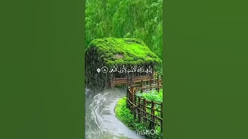 كلوا وارعوا أنعامكم إن في ذلك لآيات لأولي النهى #biographiesoffamouspeople #اكسبلور #لايك #القران