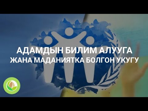 Video: Кызматкердин кошумча билим алууга укугу барбы