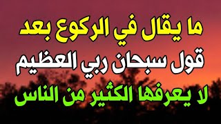 ما يقال في الركوع بعد قول سبحان ربي العظيم لا يعرفها الكثير من الناس لا تضيع أجره وثوابه