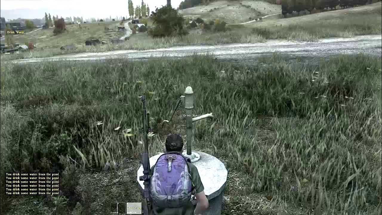 заражения дейз