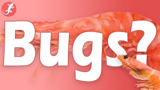 Is Shrimp Bugs?