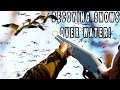 HUNTING SNOW GEESE OVER WATER | 2022 MISSOURI SNOW GOOSE HUNT