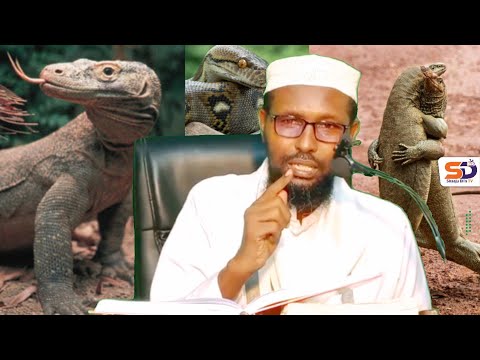 MUCJISO : Arin Yaab LeH Abeeso Lugaaleey 👀┇► Dr Shiikh Abuukar Xasan Maalin