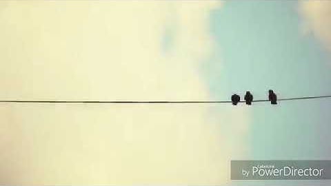 اسلام_صبحي #islam_sobhi  تلاوة خاشعة من سورة الفرقان للقاريء اسلام صبحي * حالات واتس اب دينية