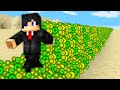 Minecraft, But Everything Is XP...