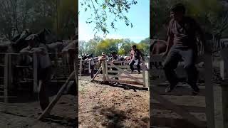 Tierra del Fuego pesentes en la Feria del Carmen!