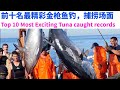 Top 10 Tuna caught 前十名最精彩金枪鱼钓，捕捞场面Top 10 Most Exciting Tuna caught records钓鱼纪录片, 釣魚