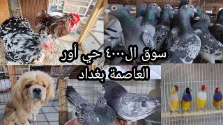 سوق ال ٤٠٠٠ الساحة حي أور انواع الطيور والحيوانات الغريبة يوم الثلاثاء 2023/1/10