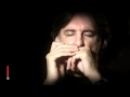 Howard levy  hohner masters of the harmonica