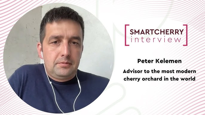 Yigit togri külotda keldi Yigit togri külotda keldi