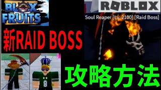 New RAID BOSS (Soul Reaper) Strategy Guide: How to Obtain New Items (Holy Crown and Hallow Scythe...