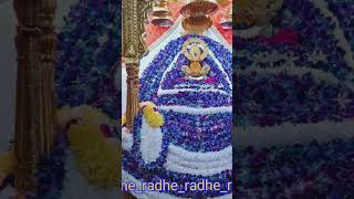 Jee Lenge Sarkar Teri Sarkari Mai