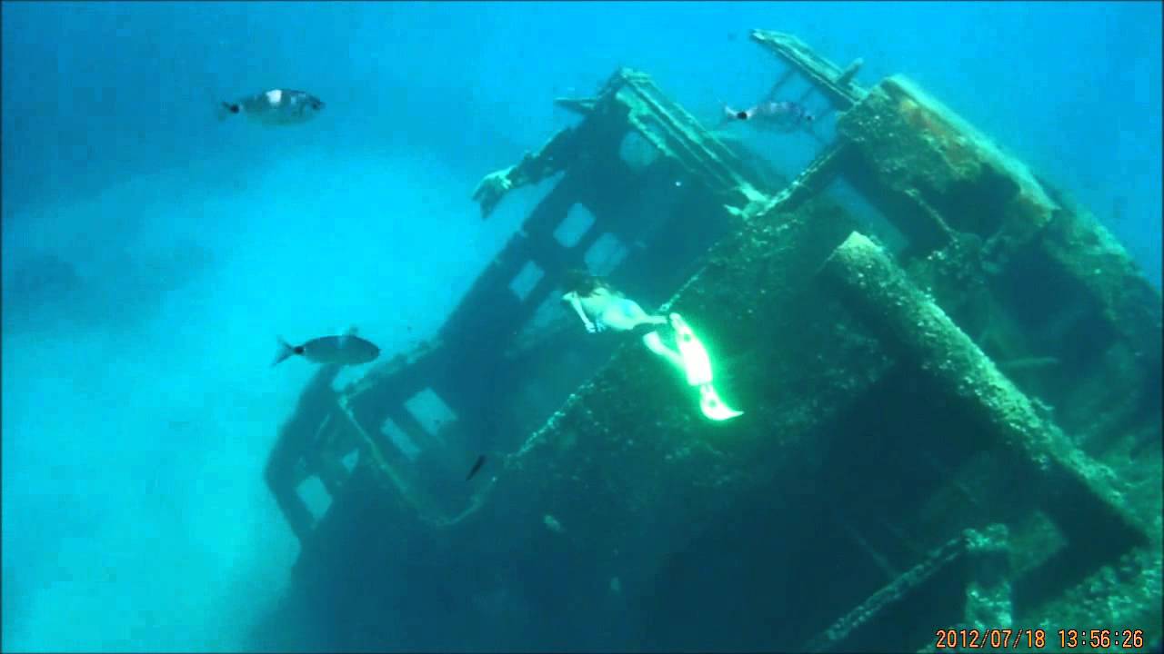 Pomonte - Elviscott wreck
