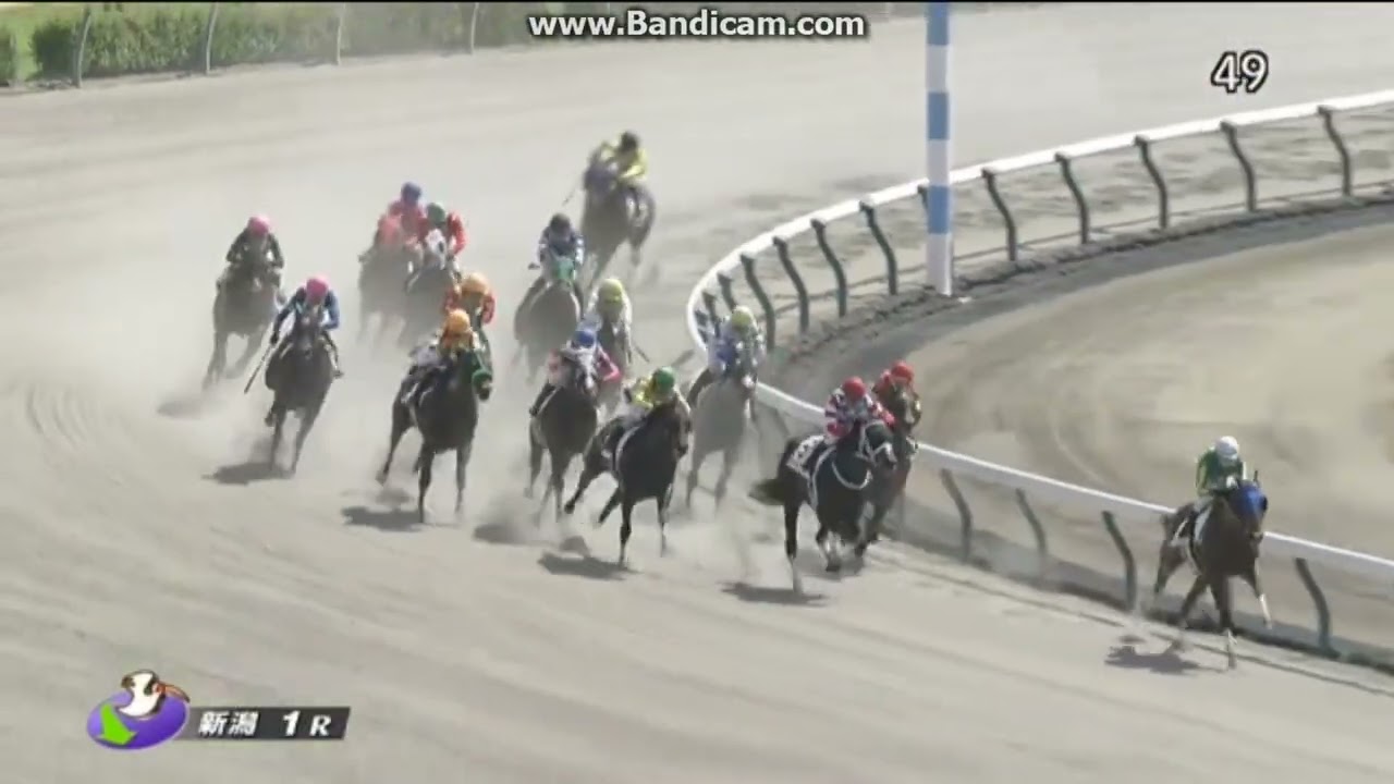 藤原サトノダイヤモンド 新馬戦〜天皇賞・春２歳から４歳国内全１０戦現地単勝 天皇賞】サトノダイヤモンド歴史刻む 鬼門春天・ディープ産駒初V