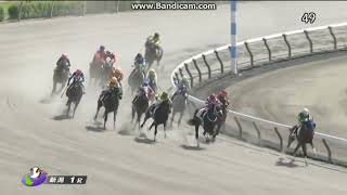 サトノダイヤモンド 新馬戦〜天皇賞・春２歳から４歳国内全１０戦現地単勝馬券セット サトノボヤージュ 2歳未勝利 - YouTube