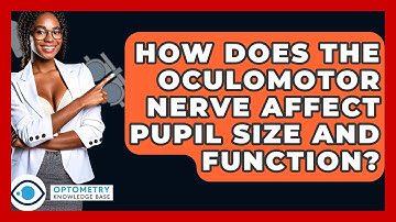 How Does The Oculomotor Nerve Affect Pupil Size And Function? - Optometry Knowledge Base