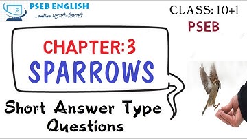 Class: 11| Sec.C| Ch.3 Sparrows by K.A.Abbas| SHORT| Question-Answers| By: Swayam Ahuja