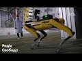 Робот-собака «SPOT»  у Чорнобилі