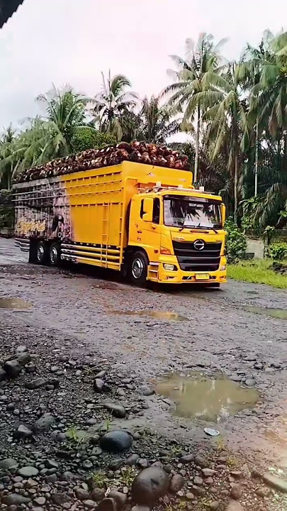 pesona truk hino muatan sawit full ganteng#shrotsvideo #shrotviral