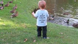 Playing with Ducks 2 Years Old