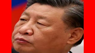 It Wasn't Bat Soup? How Shocking