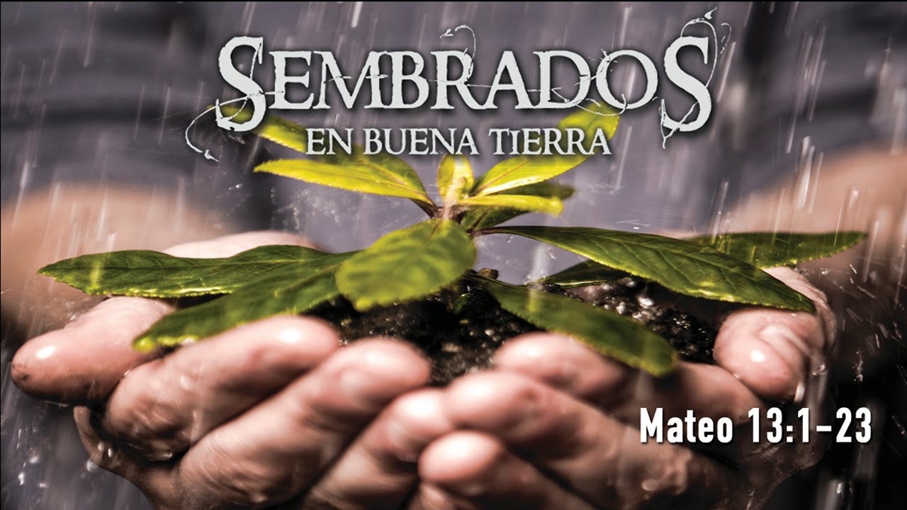 sembrados en buena tierra
