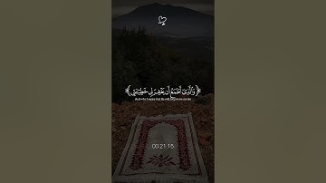 اكتب شيئًا تؤجر عليه ❤😴 | القارئ ياسر الدوسري #قرآن_كريم #Quran #راحة_نفسية