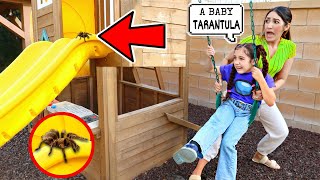 Can’t Believe We Found Another TARANTULA in Our New House! *SHOCKING* | Jancy Family