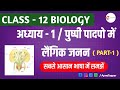 पुष्पी पादपो में लैंगिक जनन || Class 12 Biology chapter 1|| sexual reproduction in flowering plants