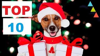 Top 10 Best DOG CHRISTMAS Gift 🎁 ideas 2018📩 (Your dog will thank you)