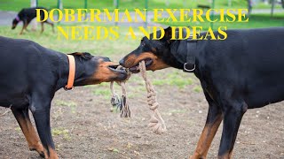 Doberman Pinscher Exercise Needs and Ideas